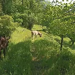 Дом отдыха Eco-gite La Clede Vialas