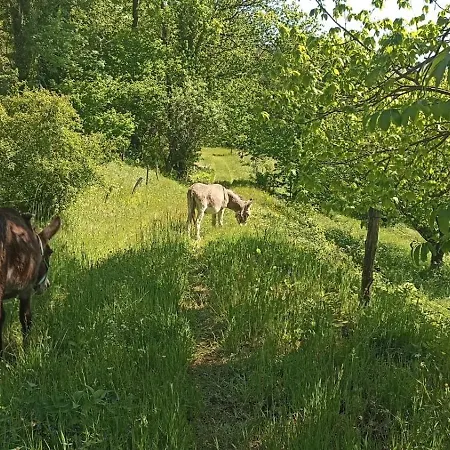Vakantiehuis Eco-gite La Clede Vialas