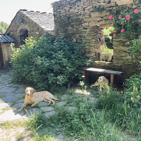 Eco-gite La Clede Vialas