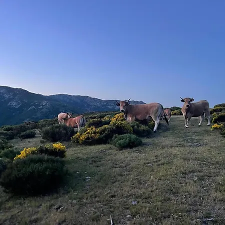 Eco-gite La Clede Vakantiehuis Vialas