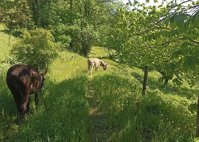 Сasa de vacaciones Eco-gîte La Clède Vialas