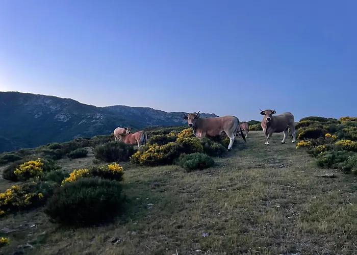 Eco-gîte La Clède